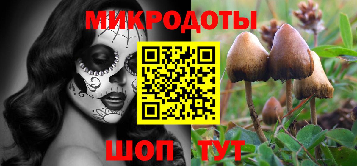 Галлюциногенные грибы MAGIC MUSHROOMS Кохма