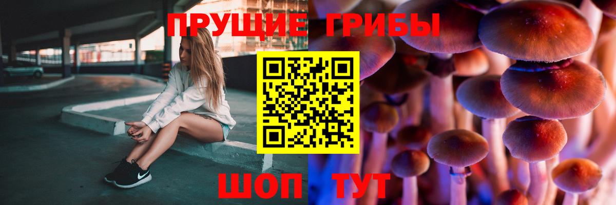 Галлюциногенные грибы Magic Shrooms  Вход с VPN  Кохма 
